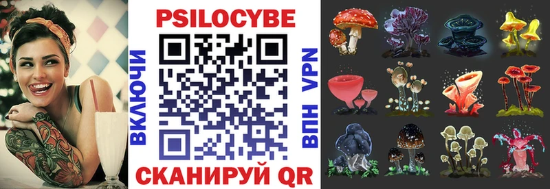Псилоцибиновые грибы Cubensis  Лобня 