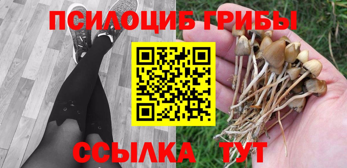 Лобня  Галлюциногенные грибы Magic Shrooms  Вход с VPN 