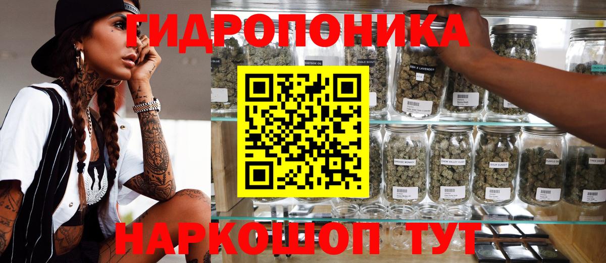 Каннабис Bruce Banner  Шишки марихуана SATIVA & INDICA  Бошки марихуана индика  Бошки марихуана VHQ  Лобня  Вход с VPN 